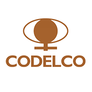 Logo CODELCO EGV Ingeniería